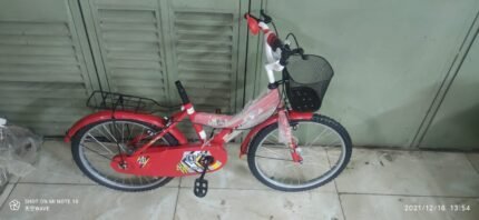 LION KING SIZE BICYCLE 20 RED