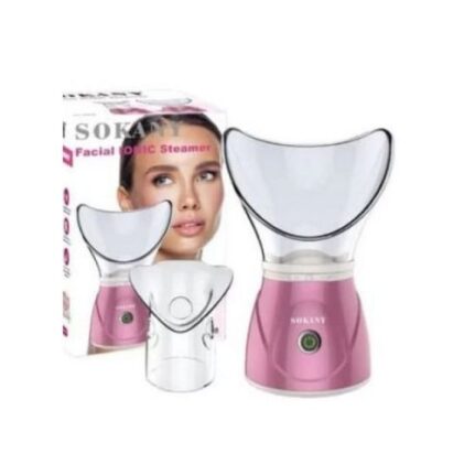 face steamer