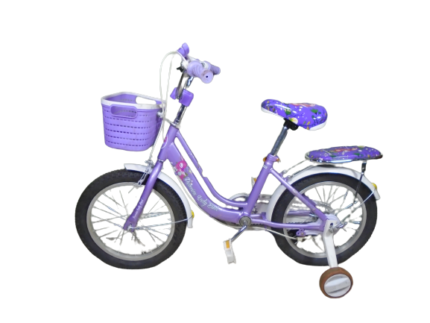Ladybird/Girl's bicycle