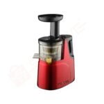 Rebune  Electric Slow Juicer RE-2079