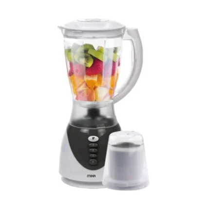 Mika blender and grinder