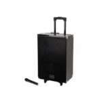 TAGWOOD LTS-15A Outdoor Speaker