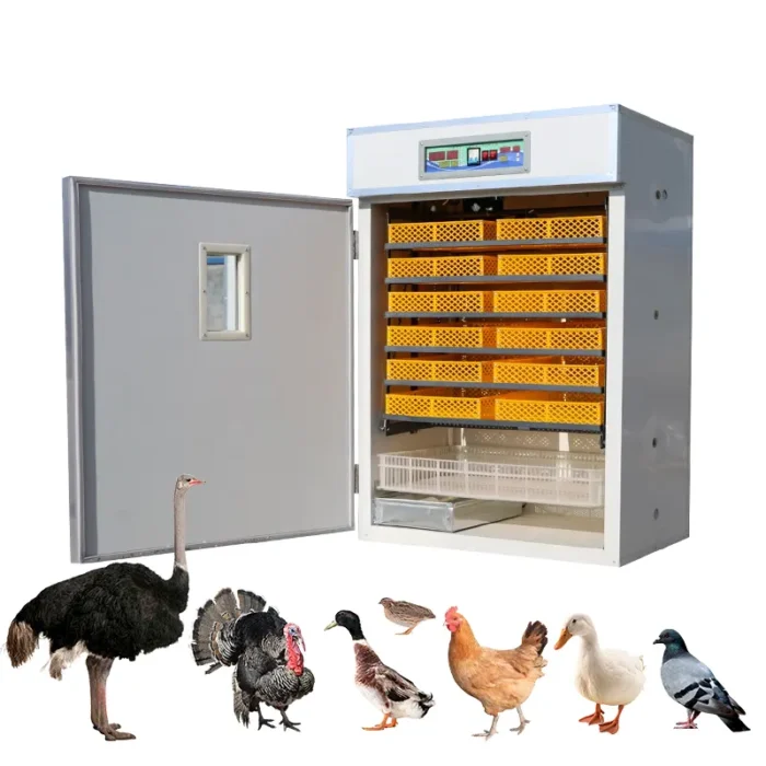 Automatic AC/DC egg incubator