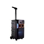 Premier portable trolley speakers