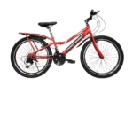 Premier worrior 24"bicycle