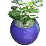 Round Fiber Glass Flower Pot