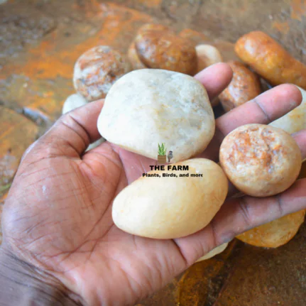 Round Pebble Stones per kg