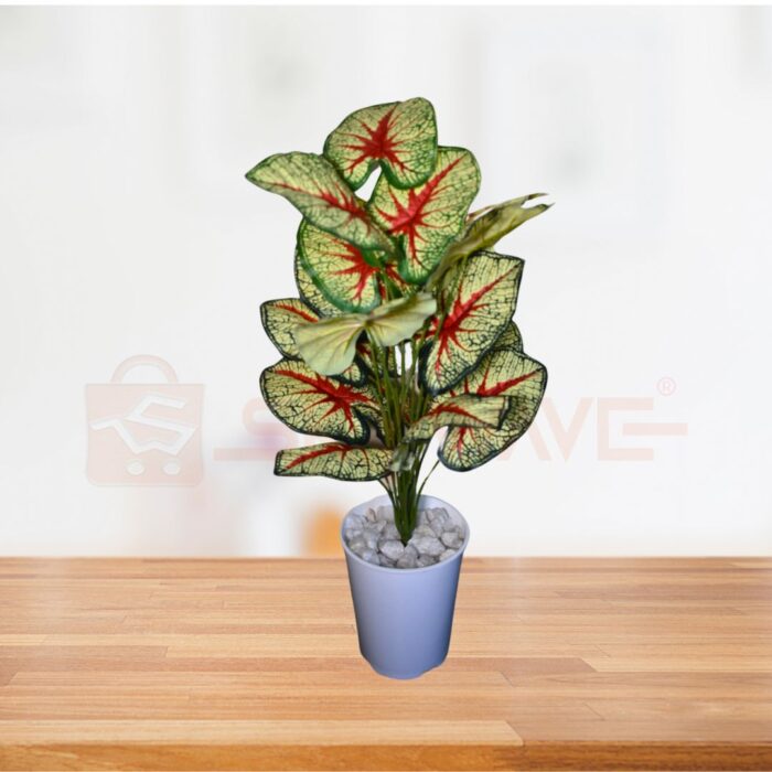 Artificial caladium Plant