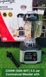 Commercial Blender with Jar