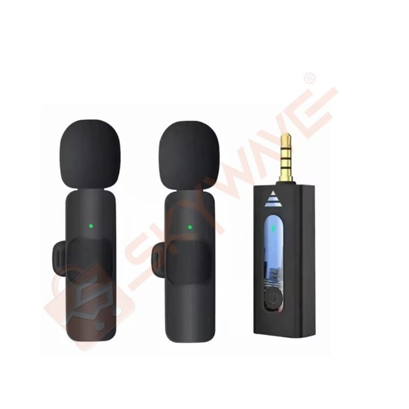 Dual lapel microphone