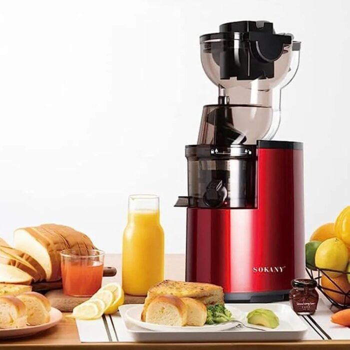 300 Watts Sokany Slow Juicer