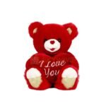 Medium Red Teddy Bear 50 cm