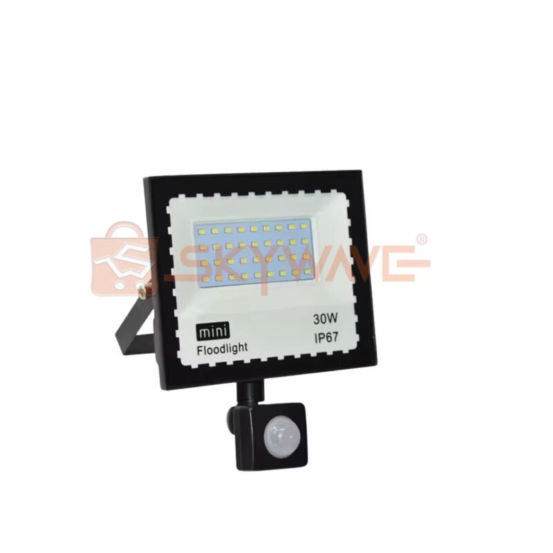 Mini Floodlight 30W with Motion Sensor