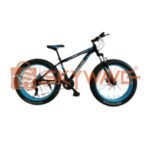 Challenge fat tyre MTB 24
