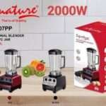 Commercial Blender 2000W