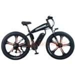 Electric Bike DK20
