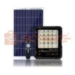 Premier solar flood light with remote