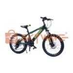 Shwenda MTB sports bike 24 BN-3