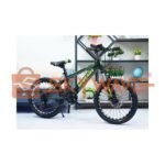 Shwenda MTB sports bike 24 BN-3