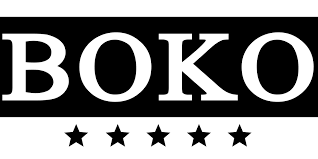 Boko Logo in Kenya