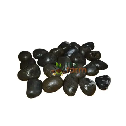 Black River Pebble Stones for Landscaping – One Bag