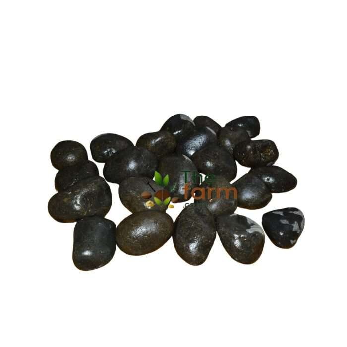 Black River Pebble Stones for Landscaping – One Bag