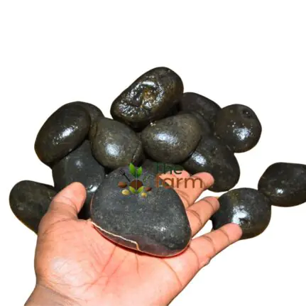 Black River Pebble Stones – 1kg