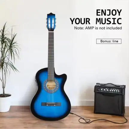 Semi-Acoustic Electric Box Guitar