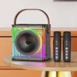 Havit SK822BT Portable Dual Wireless Microphone Karaoke 15W Speaker