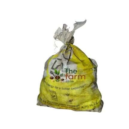 Black River Pebble Stones for Landscaping – One Bag