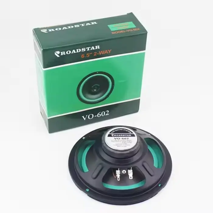 Roadstar 6 inch cheap car door speakers VO-602