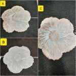 6pcs Non woven table mats - Image 3