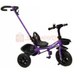 Kids Tricycle with Pushing Handle and Back Carrier