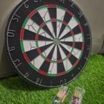 Professional Dart Board
