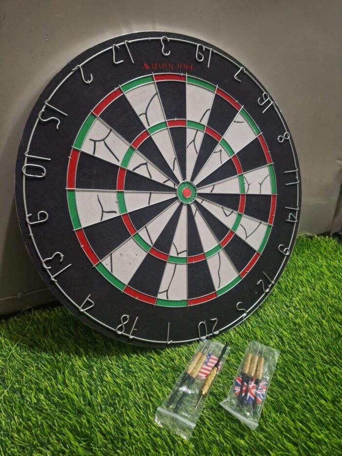 Professional Dart Board