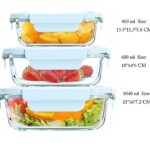 Set of 3 Borosilicate Glass Food Storage Containers