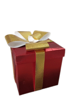 Gift Boxes Size 25