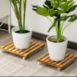Plant Roller Base Stand