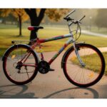 Victory Size 24 Mountain Bicycle