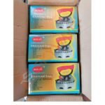 Bonne Fer Charcoal Iron