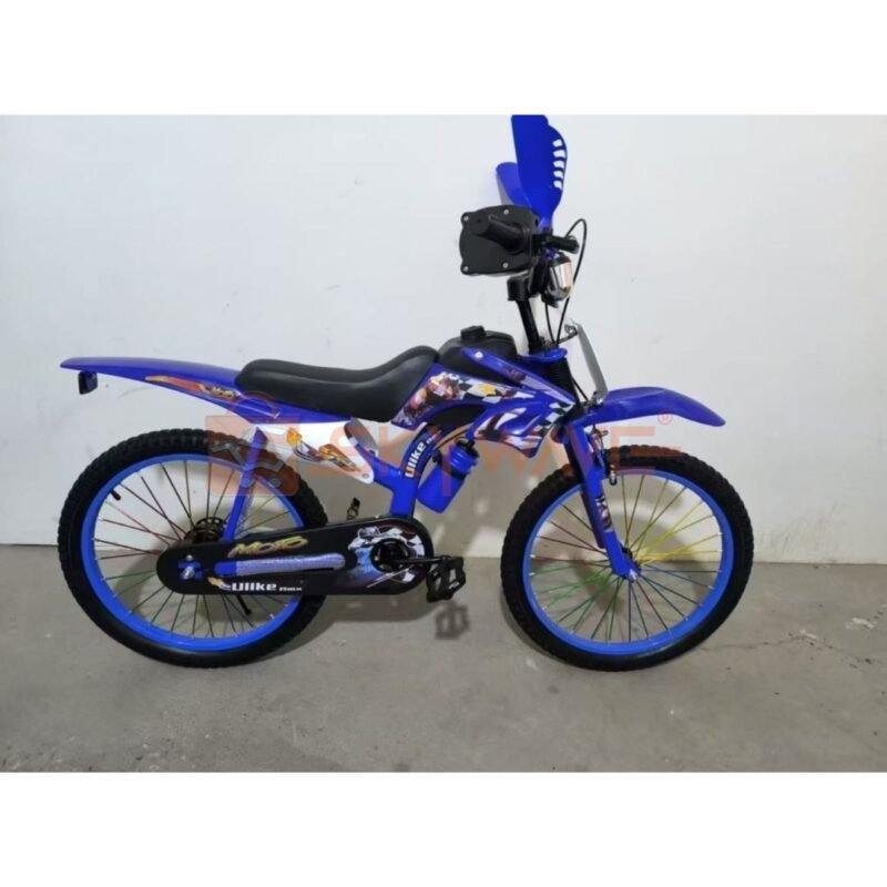 Premier racer 20inch kids bicycle