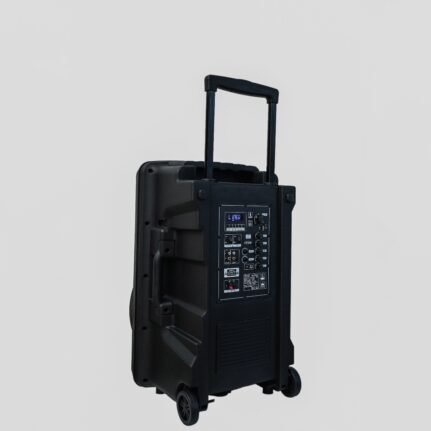 Trill D250 15" Portable Speaker