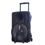 Trill D250 15" Portable Speaker