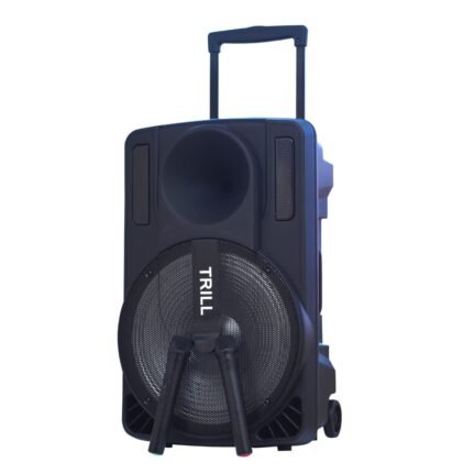 Trill D250 15" Portable Speaker
