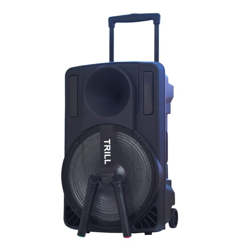 Trill D250 15" Portable Speaker