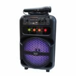 Trill CD01 8" Portable Speaker