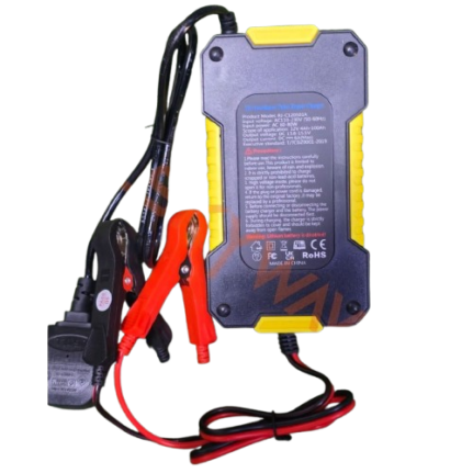 RJ Tianye 12V Intelligent Pulse Repair Charger
