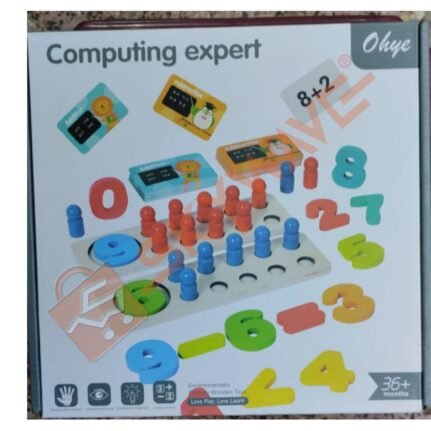 Computing expert toy