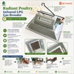 Teenwin LPG Gas Brooder for 1000 chicks