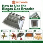Teenwin Biogas Brooder for 1000 chicks